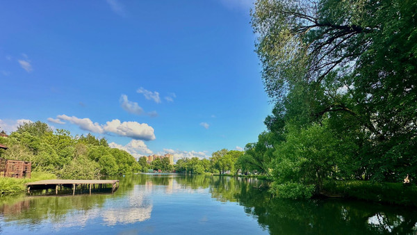 Продам дом, 3-й Заречный пер, Троицк г, 0 км от города