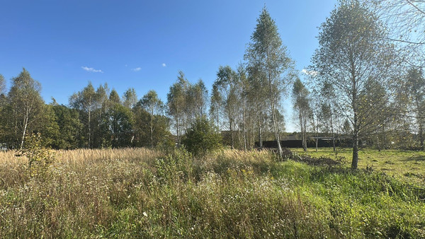 Продам участок 12,5 соток, ИЖС, Стремилово с, 0 км от города