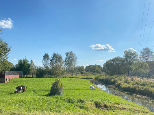 Продам участок 12,5 соток, ИЖС, Стремилово с, 0 км от города