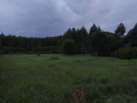 Продам участок 12,32 соток, ИЖС, Раево д, 0 км от города