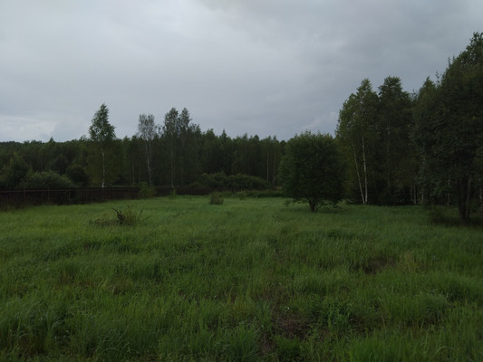 Продам участок 12,32 соток, ИЖС, Раево д, 0 км от города