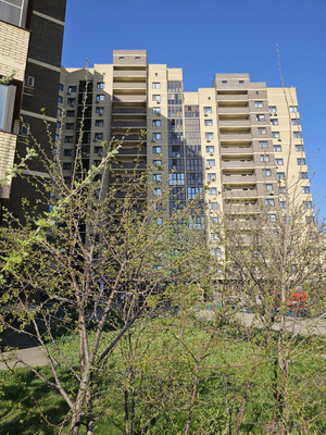 Продам двухкомнатную (2-комн.) квартиру, Сосенский Стан ул, 10, Коммунарка п