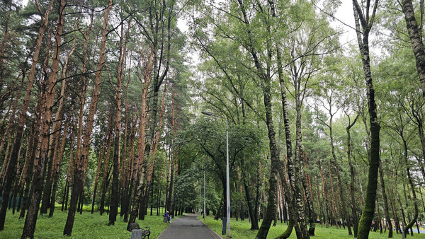 Продам однокомнатную (1-комн.) квартиру, Нахимовский пр-кт, 14, Москва г