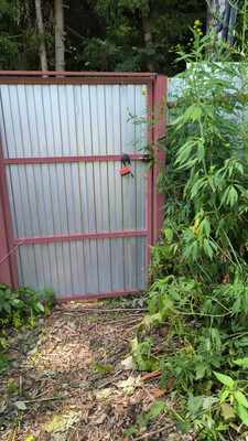 Продам участок 12,3 соток, ИЖС, Шахово д, 0 км от города