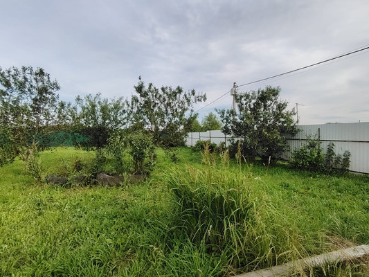 Продам участок 12,5 соток, ИЖС, Рябиновая ул, Алферово д, 0 км от города