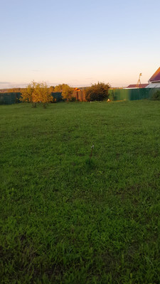 Продам участок 12,5 соток, ИЖС, Рябиновая ул, Алферово д, 0 км от города