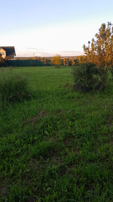 Продам участок 12,5 соток, ИЖС, Рябиновая ул, Алферово д, 0 км от города