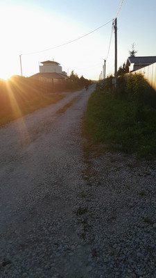 Продам участок 12,5 соток, ИЖС, Рябиновая ул, Алферово д, 0 км от города