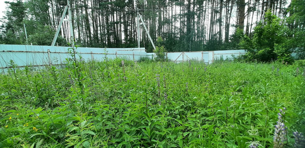 Продам участок 8,73 соток, ИЖС, Шахово д, 0 км от города