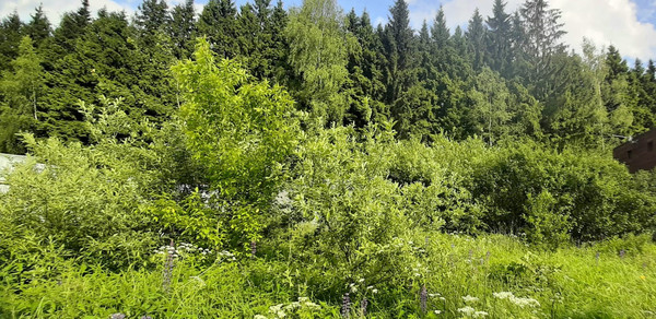 Продам участок 8,73 соток, ИЖС, Шахово д, 0 км от города