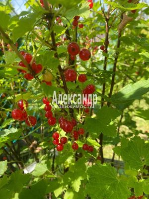 Продам дачу в поселке Куйвози-2, 7-я Линия (Невское тер. СНТ) ул, Куйвози д, 45 км от города