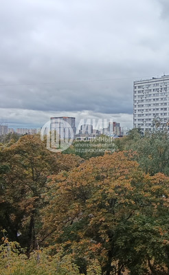 Продам однокомнатную (1-комн.) квартиру, Трофимова ул, 19к1, Москва г
