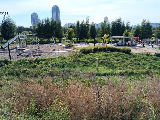 Продам однокомнатную (1-комн.) квартиру, Волоколамское ш, 71к1, Москва г