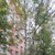 Продам двухкомнатную (2-комн.) квартиру, 16-я Парковая ул, 18, Москва г