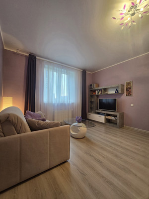 Сдам однокомнатную (1-комн.) квартиру, Парашютная ул, 38к3, Санкт-Петербург г