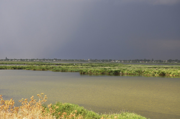 Продам дом, Терешковой ул, 4, Куликовка с, 0 км от города