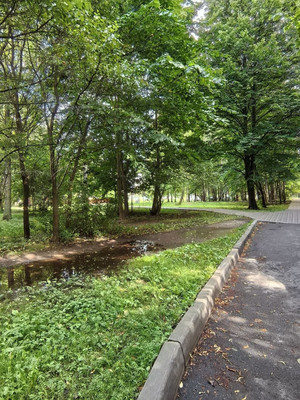 Продам однокомнатную (1-комн.) квартиру, Школьная ул, 45а, Пушкин г