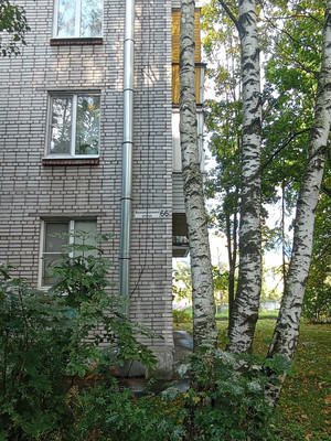 Продам трехкомнатную (3-комн.) квартиру, Железнодорожная ул, 66, Тярлево п