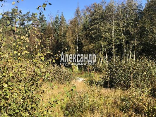 Продам участок 12 соток, ИЖС, Южная ул, Приозерск г, 125 км от города