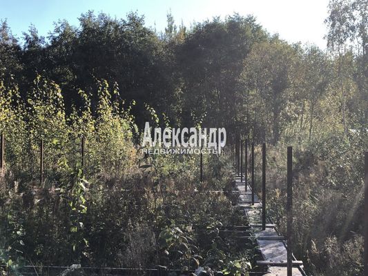 Продам участок 12 соток, ИЖС, Южная ул, Приозерск г, 125 км от города