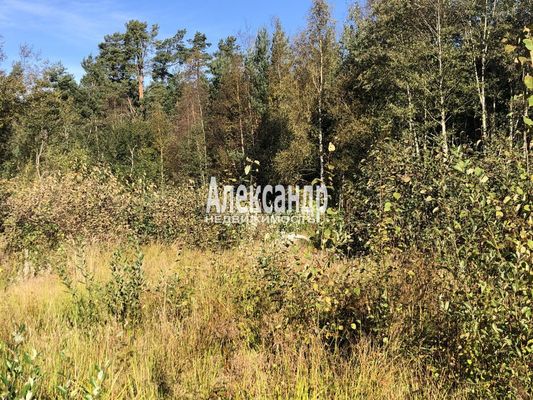 Продам участок 12 соток, ИЖС, Южная ул, Приозерск г, 125 км от города