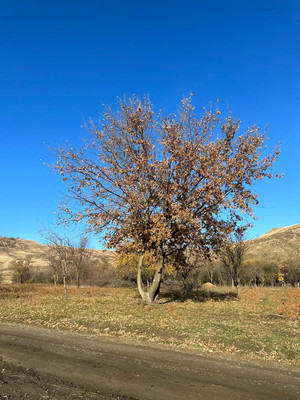 Продам участок 10 соток, ИЖС, Вишневая ул, 44, Прикубанский п, 0 км от города