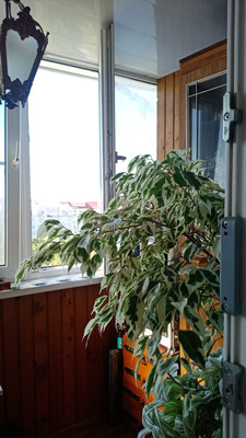 Продам двухкомнатную (2-комн.) квартиру, Маршала Жукова ул, 7, Воронеж г