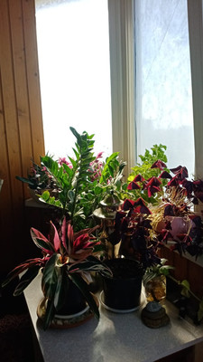 Продам двухкомнатную (2-комн.) квартиру, Маршала Жукова ул, 7, Воронеж г