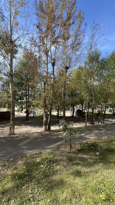 Продам однокомнатную (1-комн.) квартиру, Абсалямова ул, 28, Казань г