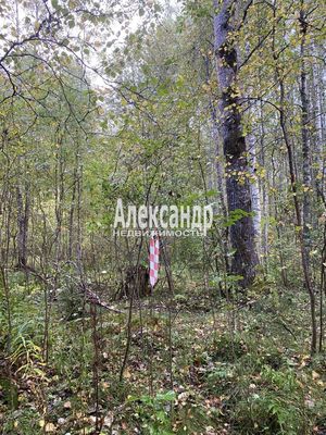 Продам участок 10 соток, СНТ, Кутузовское п, 100 км от города