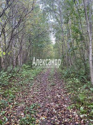 Продам участок 10 соток, СНТ, Кутузовское п, 100 км от города