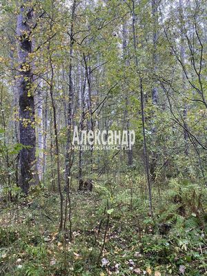 Продам участок 10 соток, СНТ, Кутузовское п, 100 км от города