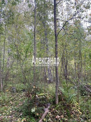 Продам участок 10 соток, СНТ, Кутузовское п, 100 км от города