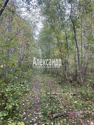 Продам участок 10 соток, СНТ, Кутузовское п, 100 км от города