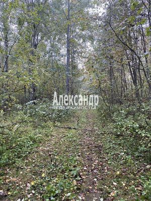 Продам участок 10 соток, СНТ, Кутузовское п, 100 км от города