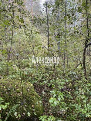 Продам участок 10 соток, СНТ, Кутузовское п, 100 км от города