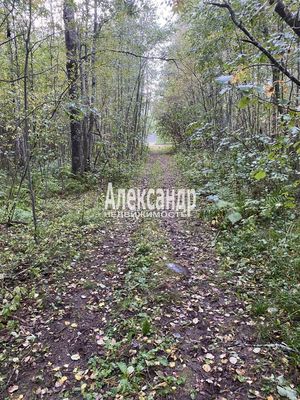 Продам участок 10 соток, СНТ, Кутузовское п, 100 км от города