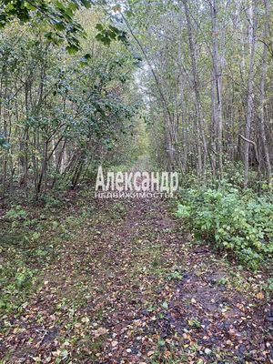 Продам участок 10 соток, СНТ, Кутузовское п, 100 км от города