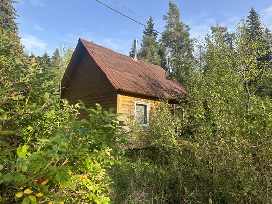 Продам дачу, Сосновый Бор п, 0 км от города