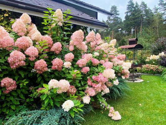 Продам коттедж, Бисерово с, 0 км от города