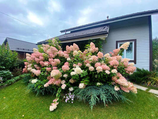 Продам коттедж, Бисерово с, 0 км от города