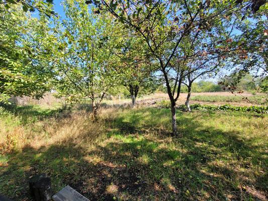 Продам дом, Красная ул, 178, Стародеревянковская ст-ца, 0 км от города