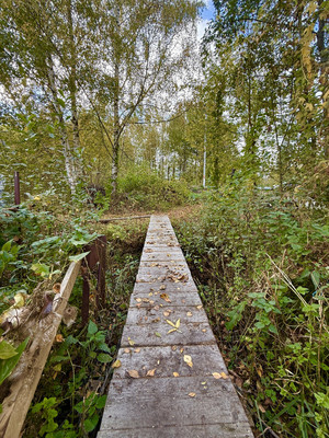 Продам участок 4,25 соток, ИЖС, Байкал-Шатурский снт, Шатурторф п, 0 км от города