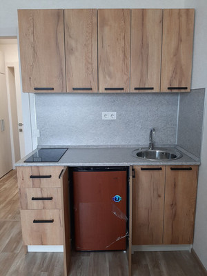 Продам однокомнатную (1-комн.) квартиру, Зеленодольская ул, 74, Пенза г