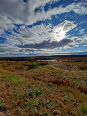 Продам однокомнатную (1-комн.) квартиру, Зеленодольская ул, 74, Пенза г