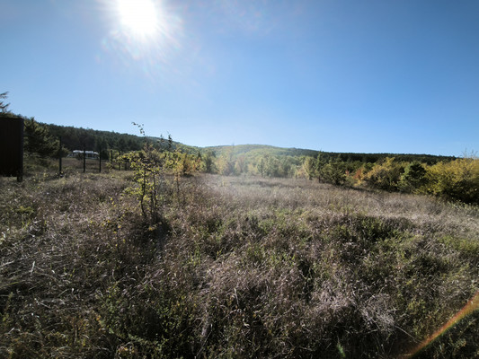 Продам участок 95,87 соток, Фермерское хоз., Куйбышево пгт, 0 км от города