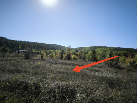 Продам участок 95,87 соток, Фермерское хоз., Куйбышево пгт, 0 км от города