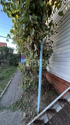 Продам дачу, Тихая ул, Горячий Ключ г, 0 км от города