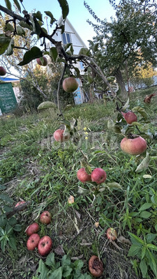 Продам дачу, Тихая ул, Горячий Ключ г, 0 км от города