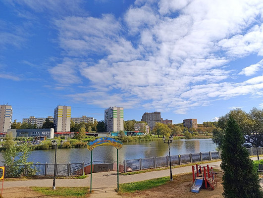 Продам однокомнатную (1-комн.) квартиру, Пушкинская ул, 1к3, Ашукино дп